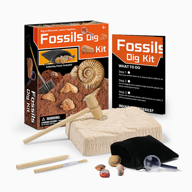 Natural Fossil Digging Toys