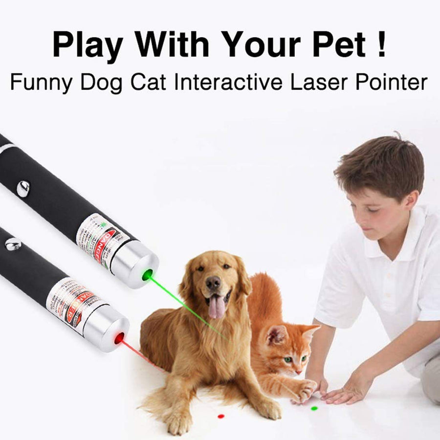 Pet Laser Pointer